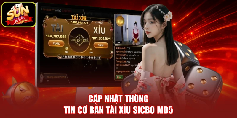 Cập nhật thông tin cơ bản tài xỉu Sicbo MD5